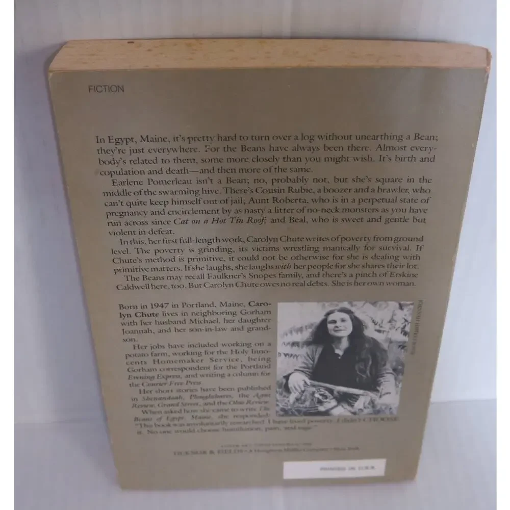 THE BEANS of EGYPT MAINE Paperback Book Carolyn Chute 1985 Fiction Read